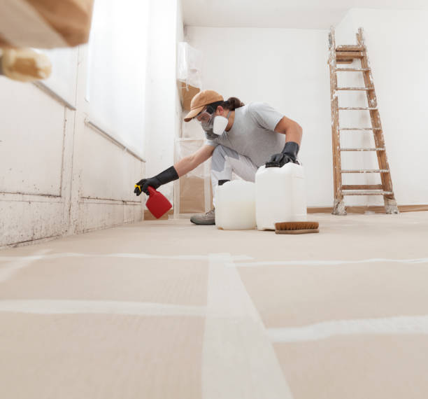 Reliable La Junta, CO Mold Removal Solutions